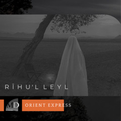 Rihul Leyl - Mr Deeper