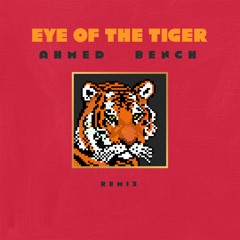 FREE DOWNLOAD - Eye Of The Tiger (Extended mix)