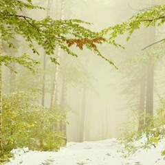 22 travel background music FREE DOWNLOAD