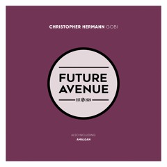 Christopher Hermann - Gobi [Future Avenue]