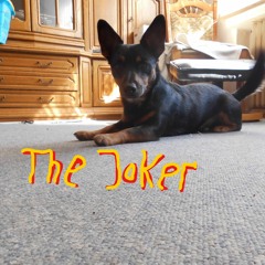 THE JOKER (Steve Miller Cover)