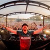 Dr. Peacock @ Dominator Festival 2024 DJ mix artwork - Electronic music tracklist cover image