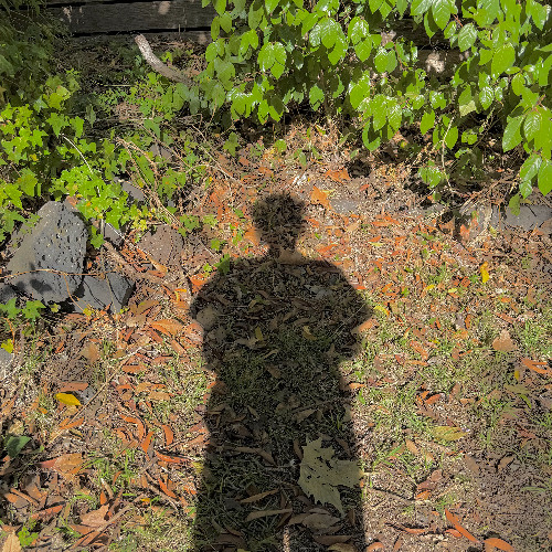 seasonal