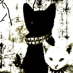 9lives (demo3)