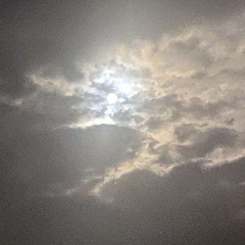 Tante_Tanz_die_kleine_Rakete_feiert_den_Mond