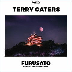 Terry Gaters - Furusato [Synth Collective]