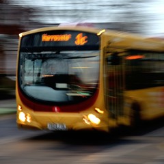 INTIMATEDANCEPARTY: THEY'RE LIKE BUSES... (live)