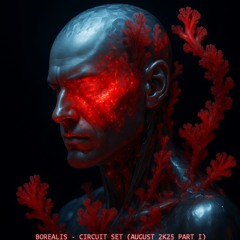 BOREALIS - Sweat and lights Vol. 4  Part I| 🔥Circuit Set | August 2025