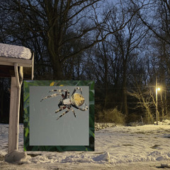 the light pollution blocks the stars