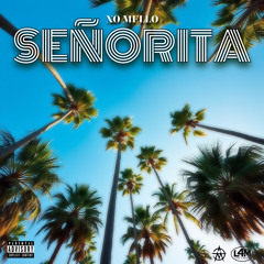 SEÑORITA