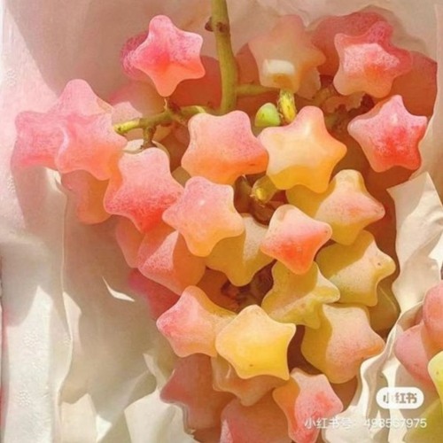 mymelodysound8
