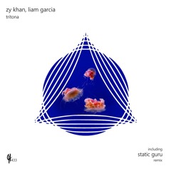 Zy Khan & Liam Garcia - Tritona (Original Mix)