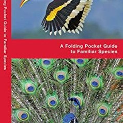 Read PDF EBOOK EPUB KINDLE India Birds: A Folding Pocket Guide to Familiar Species (W