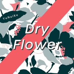 Dry Flower（Lofi HipHop）