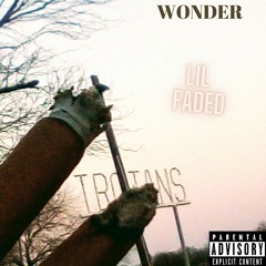 Wonder