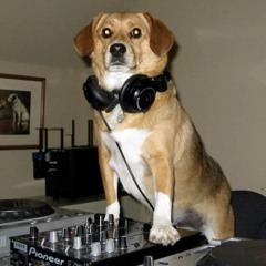 Nos embalos do groove #1