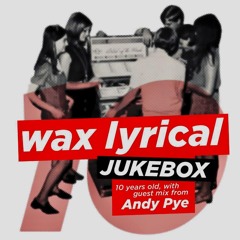 By The Lake In Winter - Wax Lyrical Jukebox 10th Birthday Mix