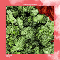 Shardy - New Melody