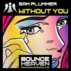Without You (Original Mix) (Sample)
