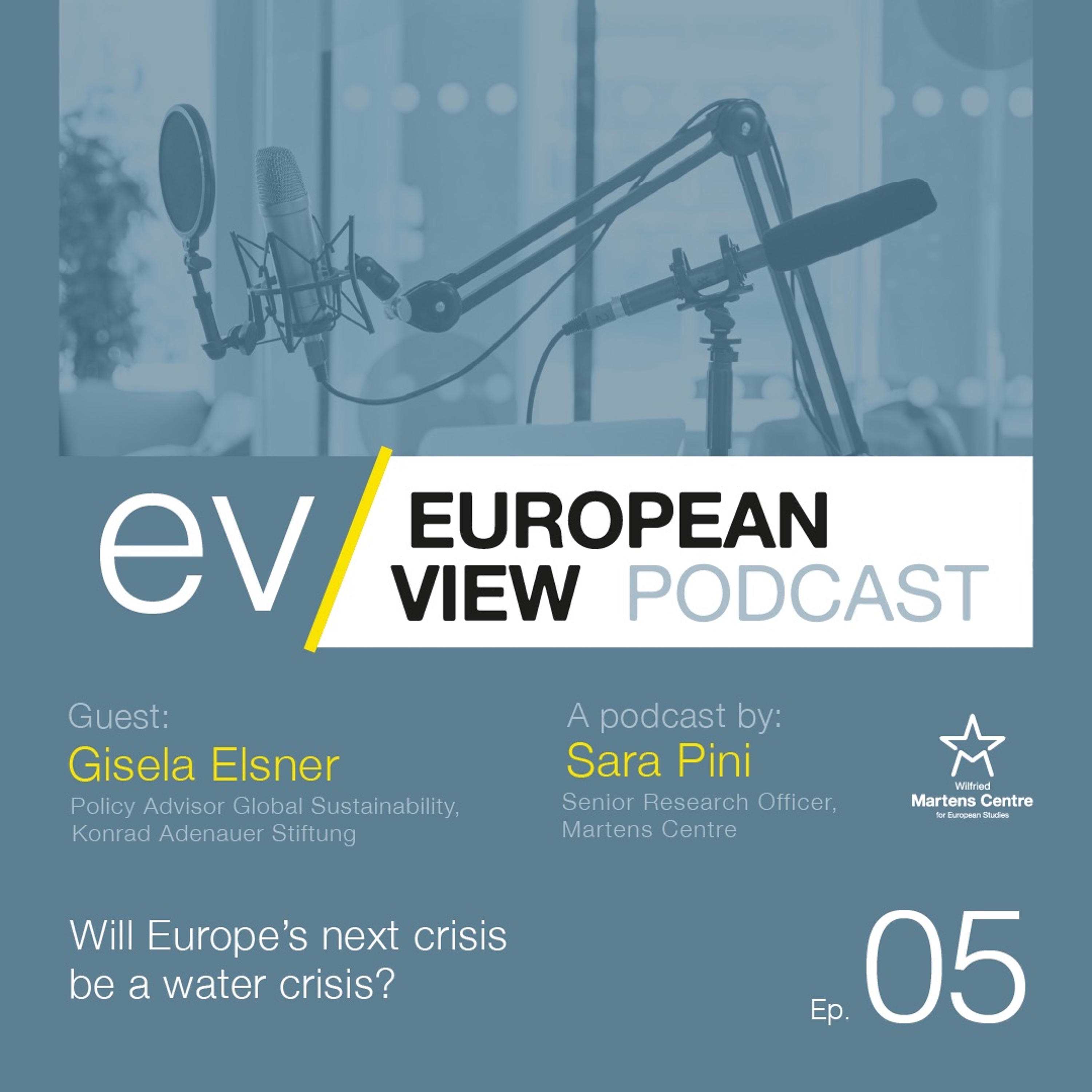 Will Europe’s next crisis be a water crisis? - The European View Podcast with Gisela Elsner episode artwork