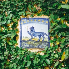 Karesenora