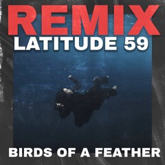 BILLIE EILISH - BIRDS OF A FEATHER (LATITUDE 59 Remix)