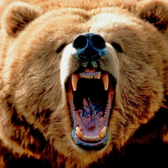 GRIZZLY DUB