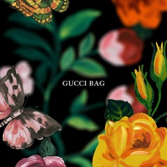 gucci bag