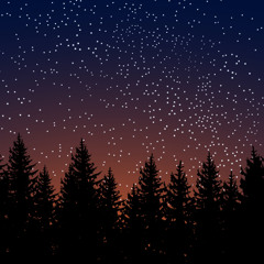 Together We Will Shine