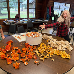 Camp Mushroom Orcas Island 2025