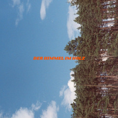 Sabbahudin‘s_Der Himmel im Holz_. 10225 [vinyl only]