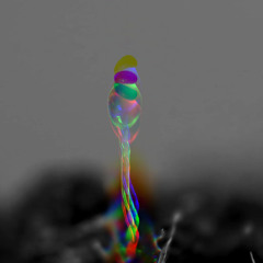 BRAIN SEEDS