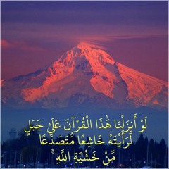 الشيخ ادريس ابكر   وقل ربي اعوذ بك من همزات الشياطين