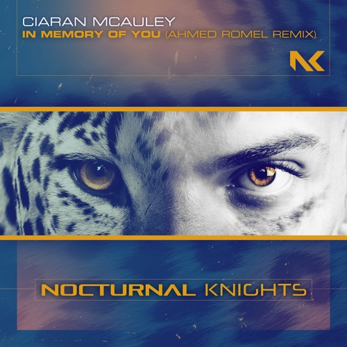 Ciaran McAuley - In Memory Of You (Ahmed Romel Remix) TEASER
