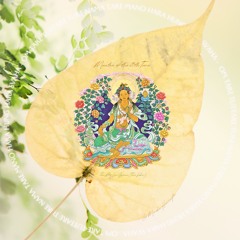 MANTRA OF THE 20TH TARA (Tara Ritrö Loma Gyönma | Tara Śabarī)