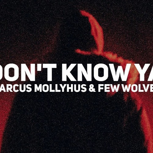 Marcus Mollyhus & Few Wolves - Don't Know Ya