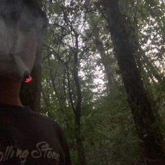 zvonok (blickyhomeboy)