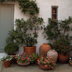 I Love You Cover (Rough Draft/Unedited)