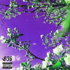 SETH G36 - VESNA V MOEM DOME