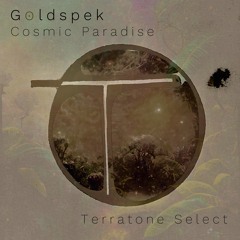 Goldspek- Cosmic Paradise (Original Mix)