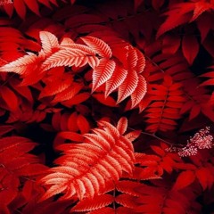 Progressive House Episode 48 From House Kitties