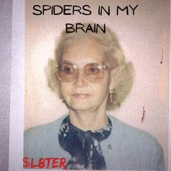 Spiders in my brain