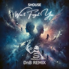 Shouse - Wont Forget You (Paradox Life DnB Remix)