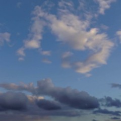 CAMPANHA POLITICA 2020 JOINVILLE - TEMPO