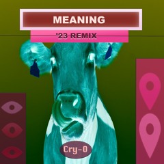 Meaning (Remix 23)