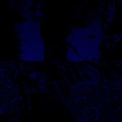 splitting (demo)