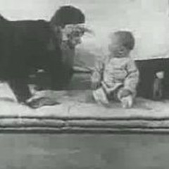 Behaviorism [250BPM]