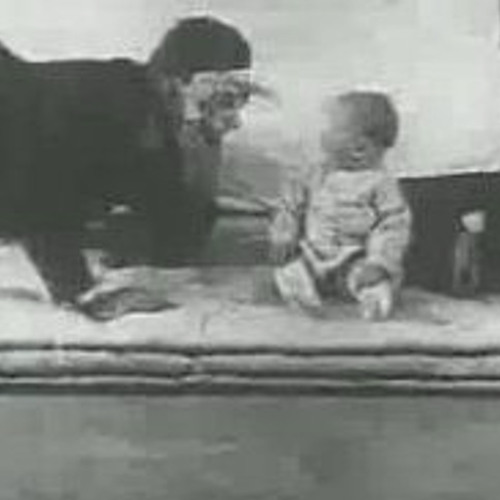 Behaviorism [250BPM]