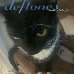 ★ deftones around the fur full album sped up