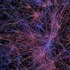 Disektor Vs Tenebral Cortex - Foleyarium